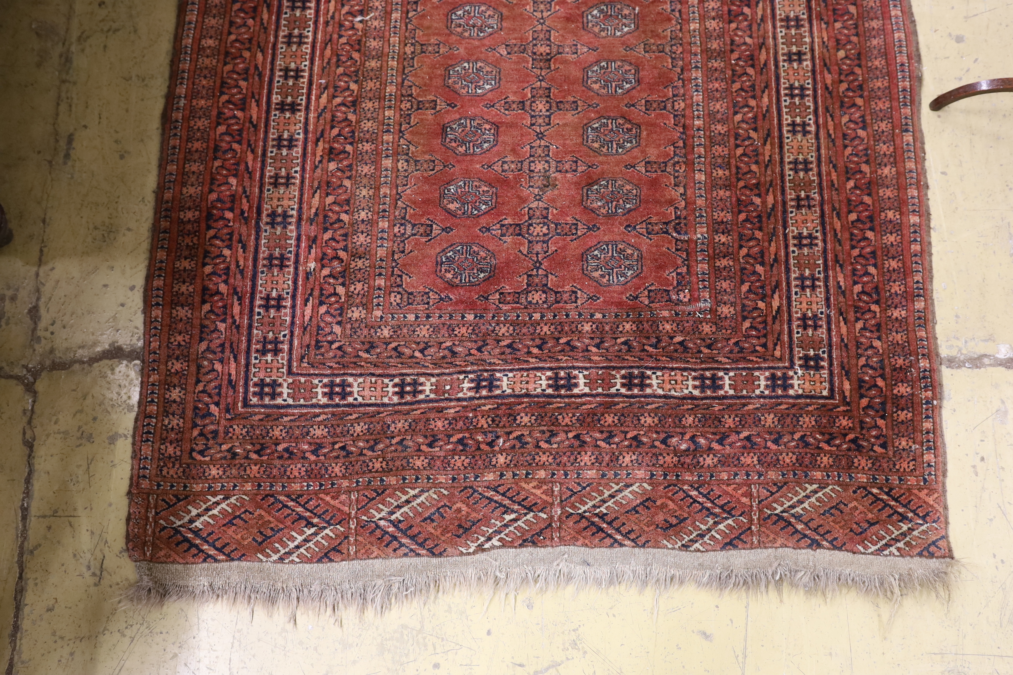 A Bokhara red ground rug, 158 x 124cm